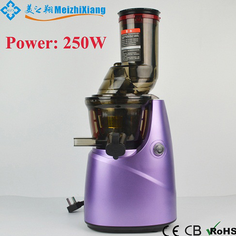 Slow Juicer With DC Motor