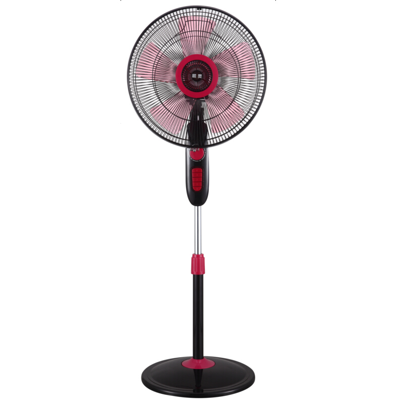 Electric Stand Fan with five blades, ABS, 55W, 1 hour timer, 3 speed 