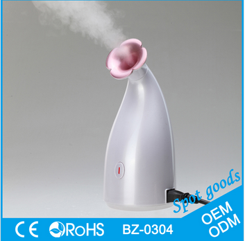 Hot 2016 new products nano Ion facial steamer skin care device