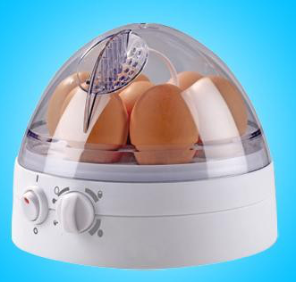 Egg Cooker with Adjustable Hardness Function