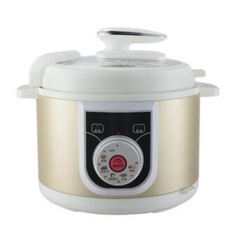 Stainless steel casing pressure cooker