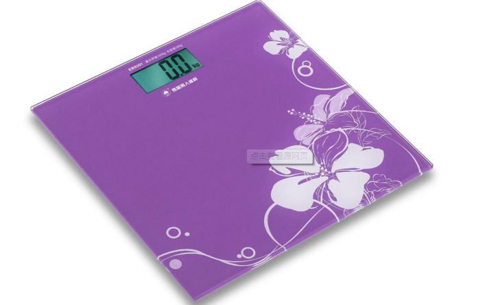 2016 Lastest Electronic Scales