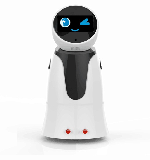 Smart Robot with Walking, Speaking, Barrier Avoiding, Remote Monitoring, Automatic Charging