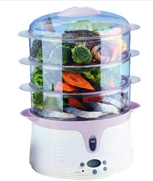 Electric Steamer